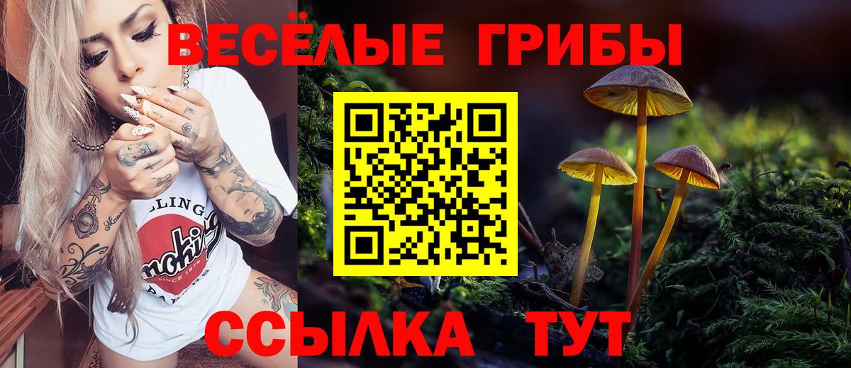 Галлюциногенные грибы GOLDEN TEACHER  Вход с VPN  Луга  Псилоцибиновые грибы Psilocybine cubensis 
