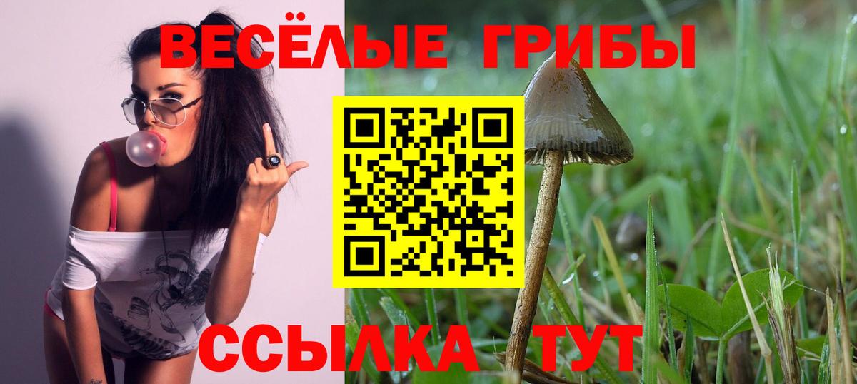 Канабис  МДМА  ЭКСТАЗИ  Вход с VPN  Cocaine  Меф МЯУ МЯУ   Гашиш  Луга  Где купить наркотики? 